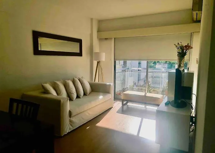 Palermo Bulnes Homes